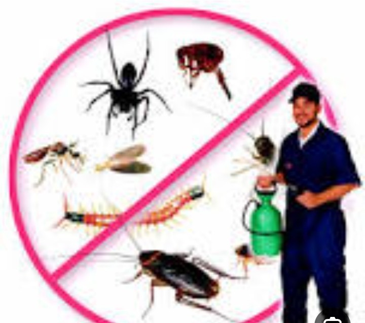 ETC مكافحة حشرات